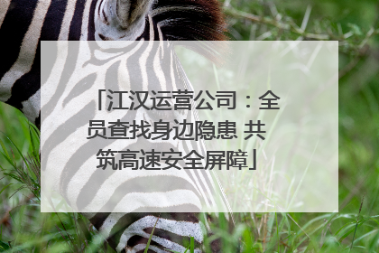 江汉运营公司：全员查找身边隐患 共筑高速安全屏障